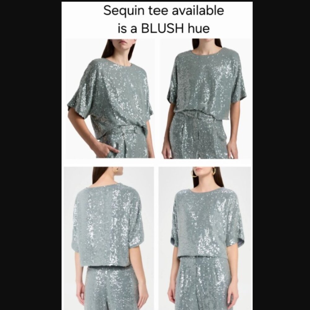 SALLY LAPOINTE moda operandi sequin oversized t-shirt tee goop top $890 us-8 - Picture 13 of 13